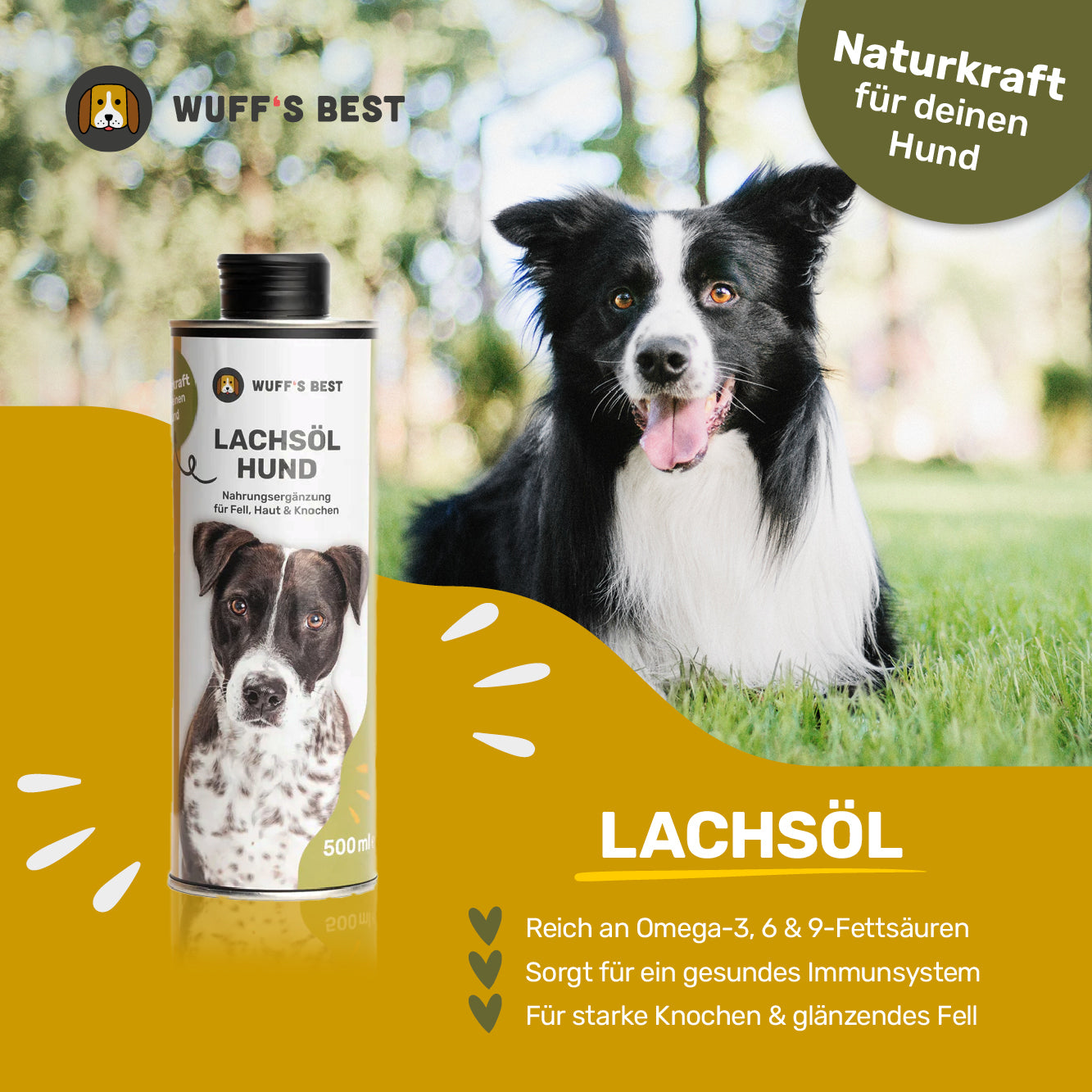 Lachsöl Hund (500ml)