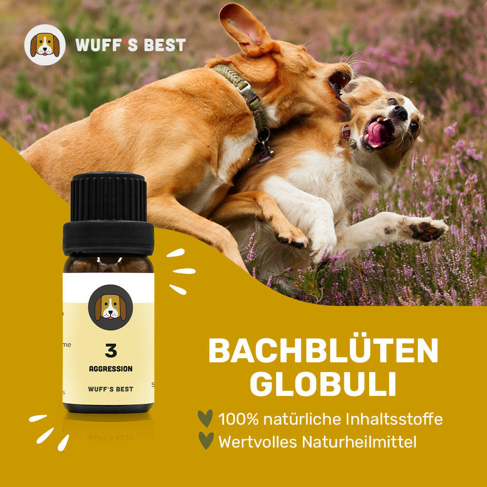 Bachblüten_Aggression_Globuli_Nr.3