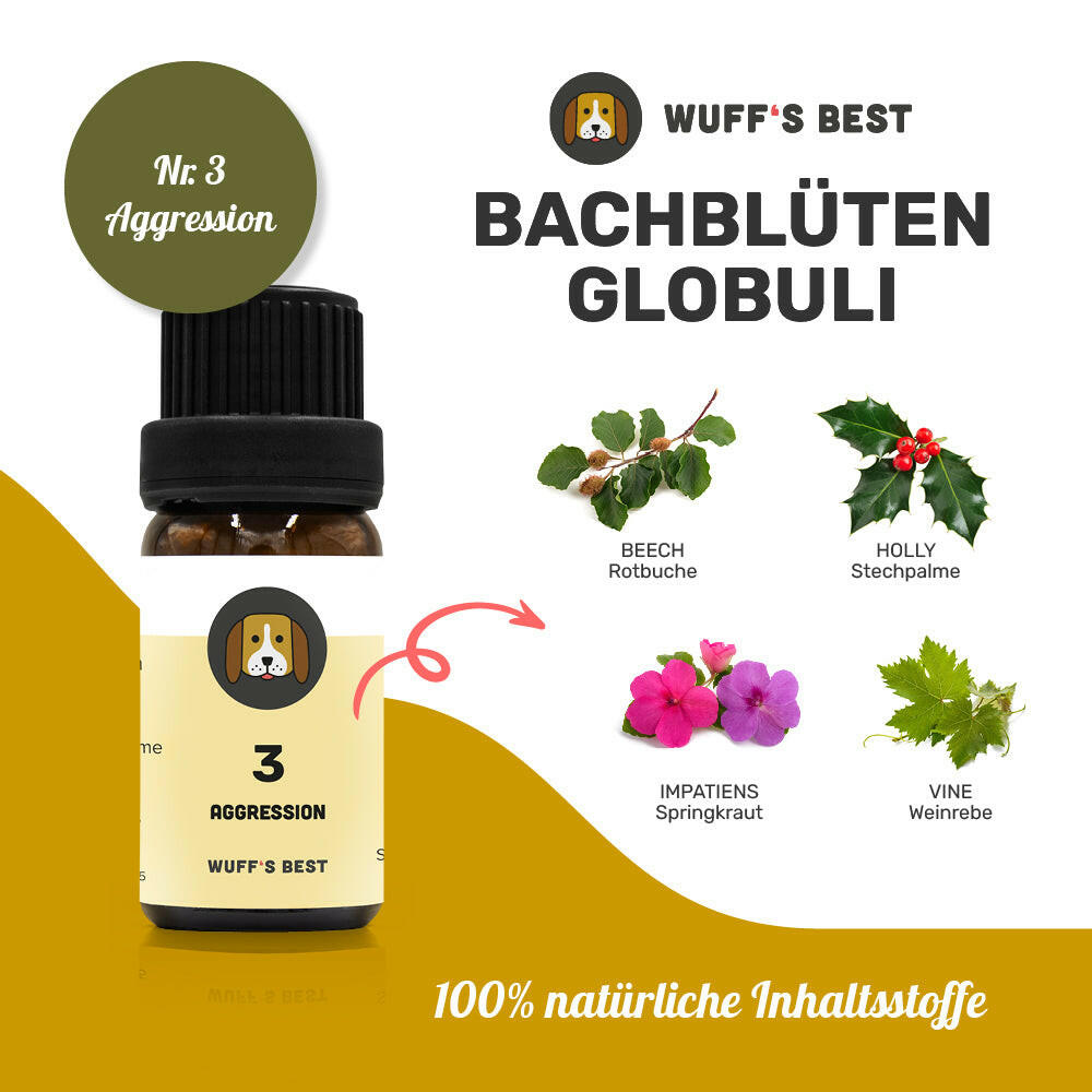 Bachblüten_Aggression_Globuli_Nr.3