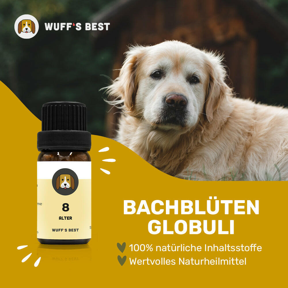 Bachblüten_Alter_Globuli_Nr.8