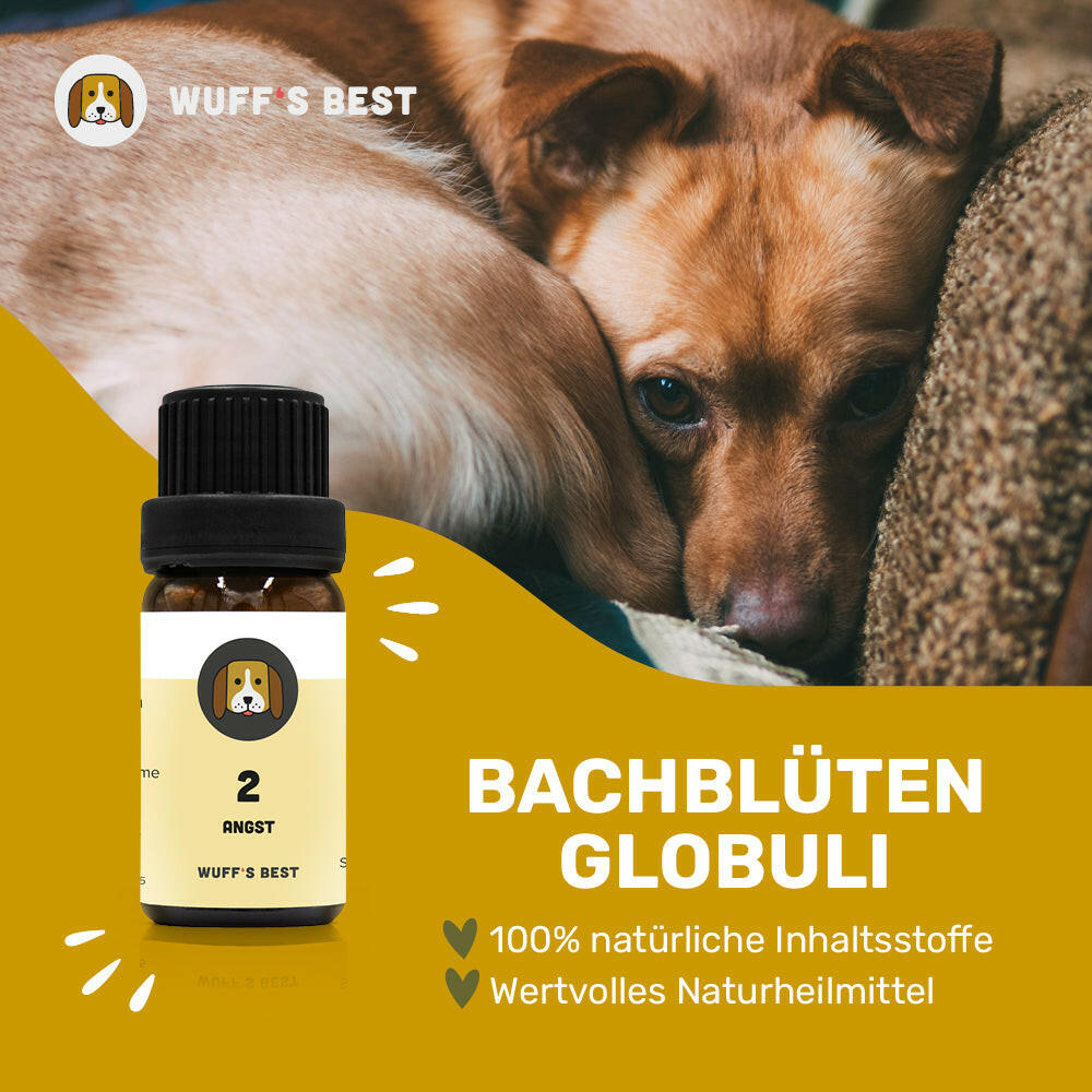 Bachblüten_Angst_Globuli_Nr.2