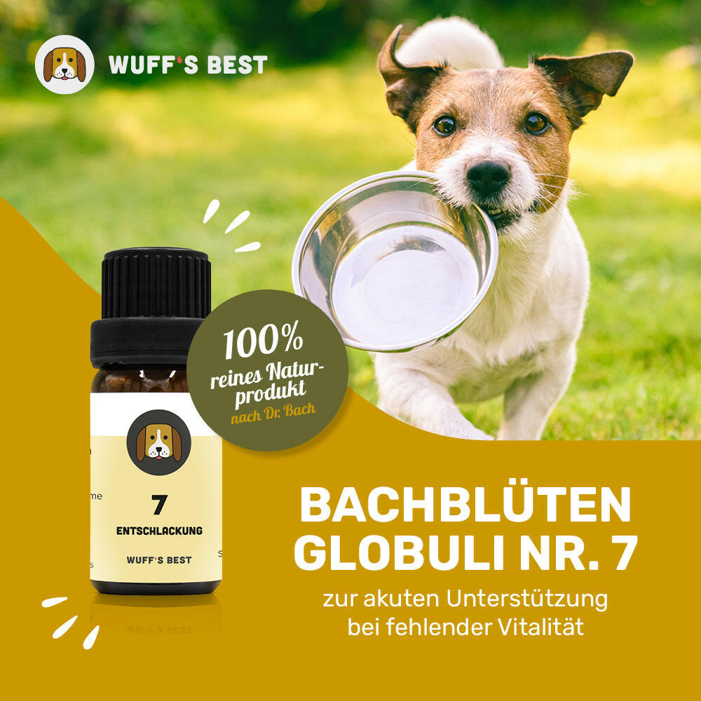 Bachblüten_Entschlackung_Globuli_Nr.7
