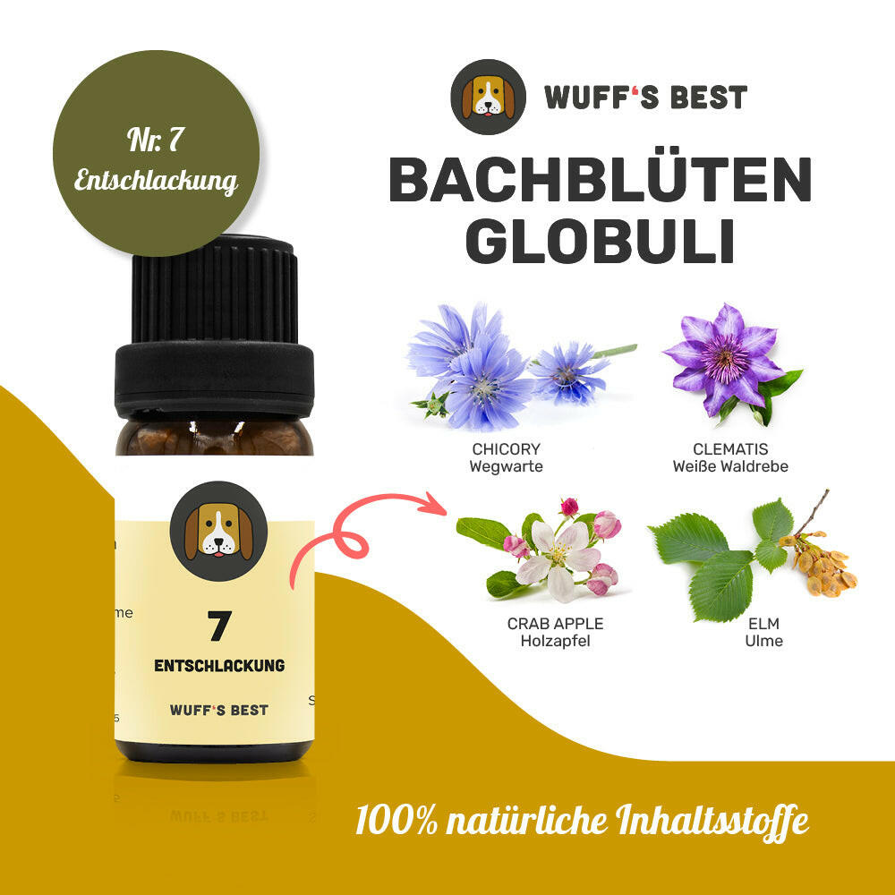 Bachblüten_Entschlackung_Globuli_Nr.7