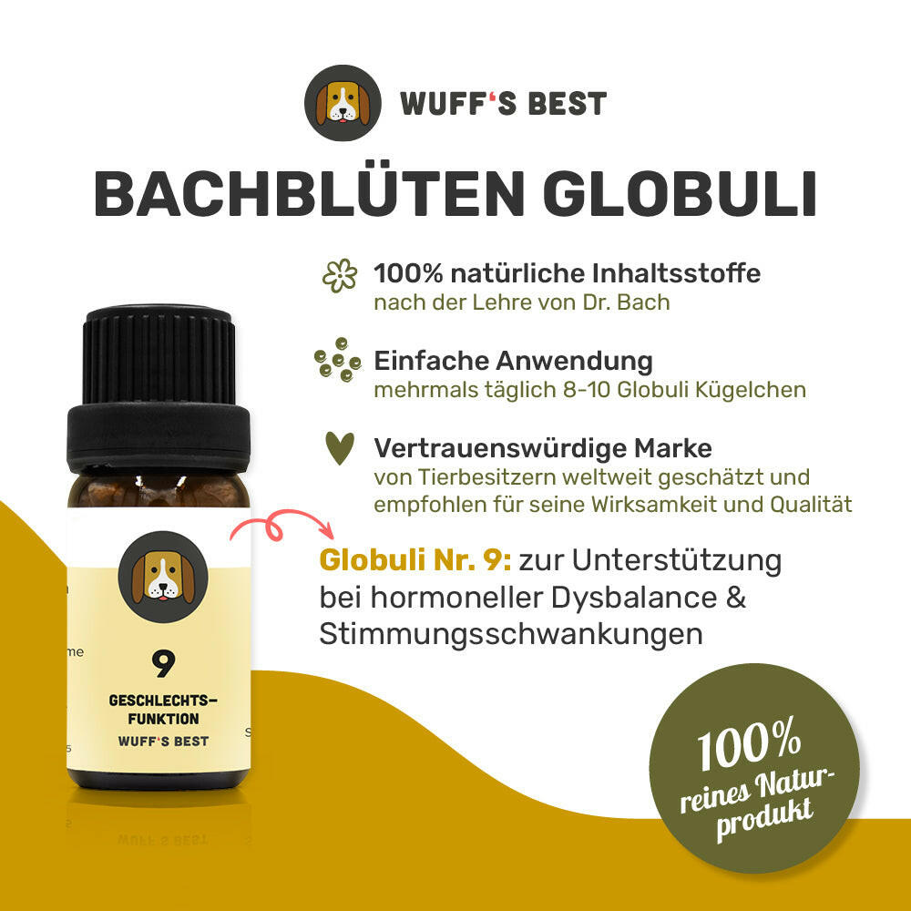 Bachblüten_Geschlechtsfunktion_Globuli_Nr.9