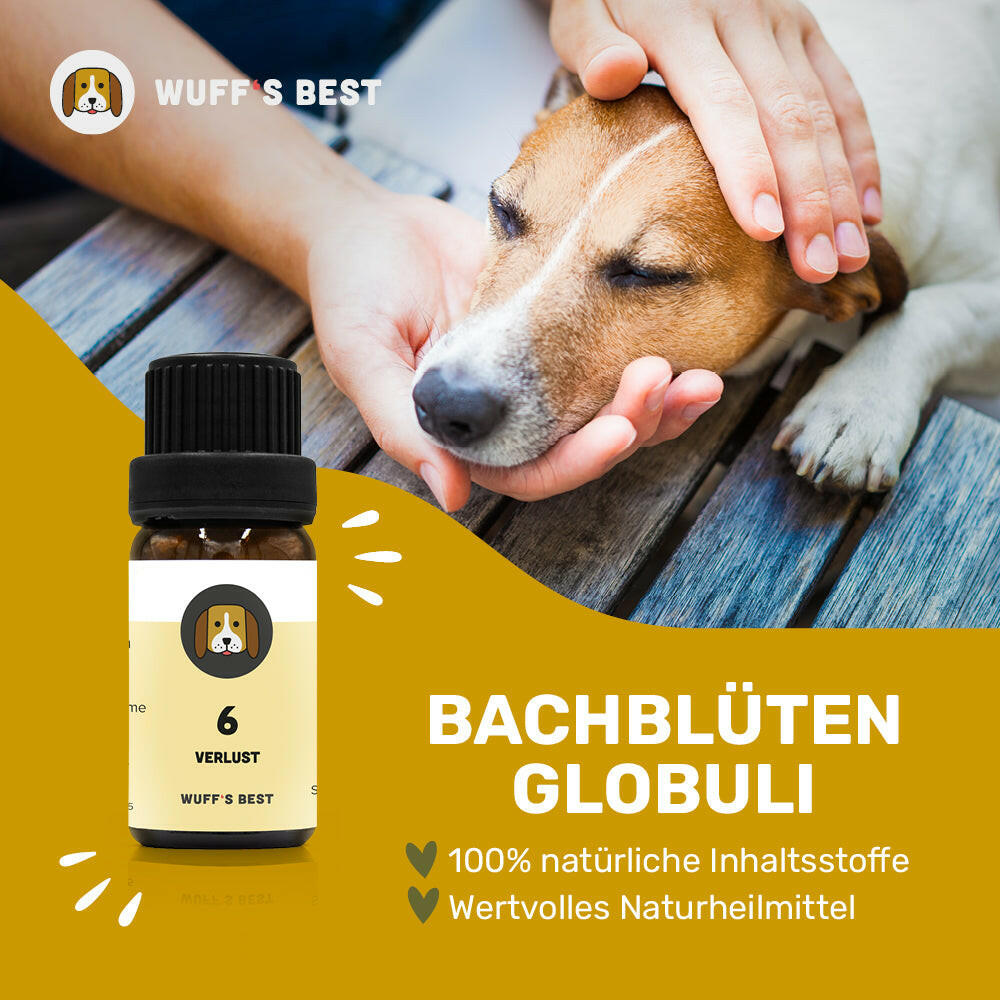 Bachblüten_Verlust_Globuli_Nr.6