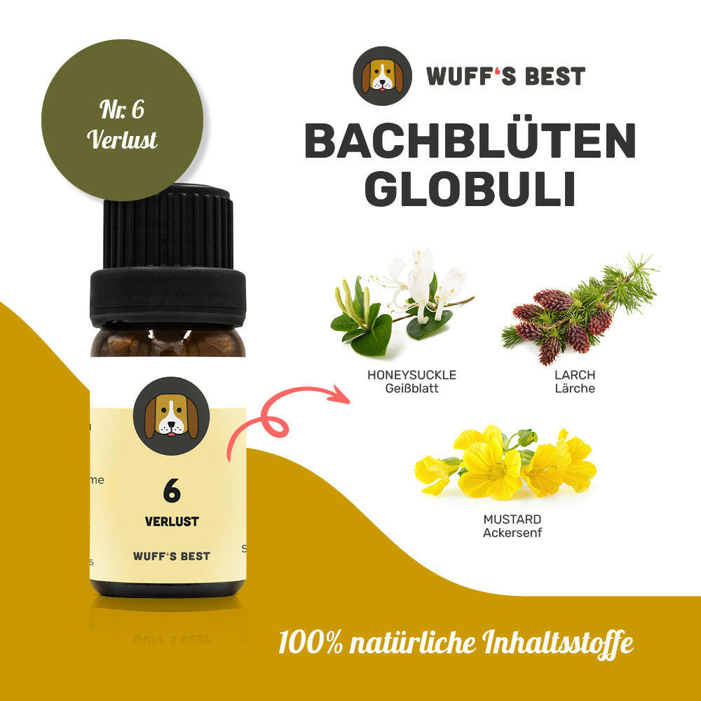 Bachblüten_Verlust_Globuli_Nr.6