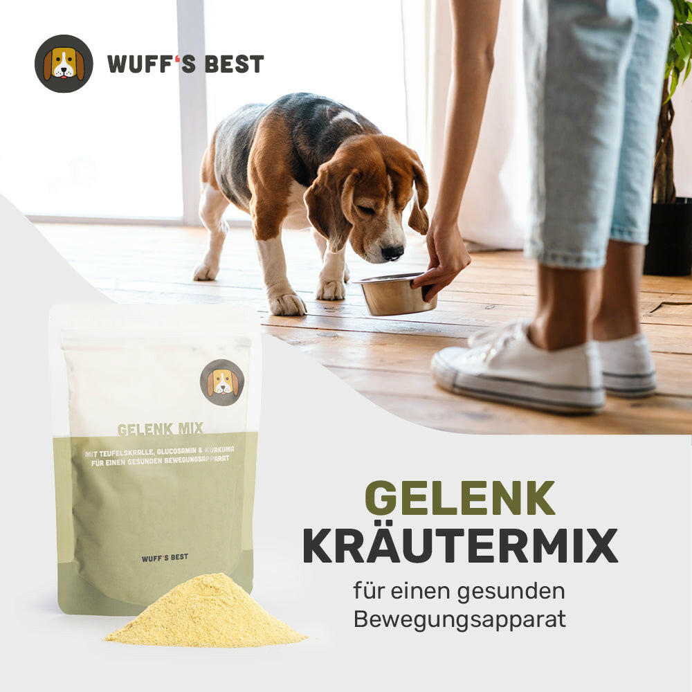 Gelenk_Kräutermix_Kräuter_für_Hunde
