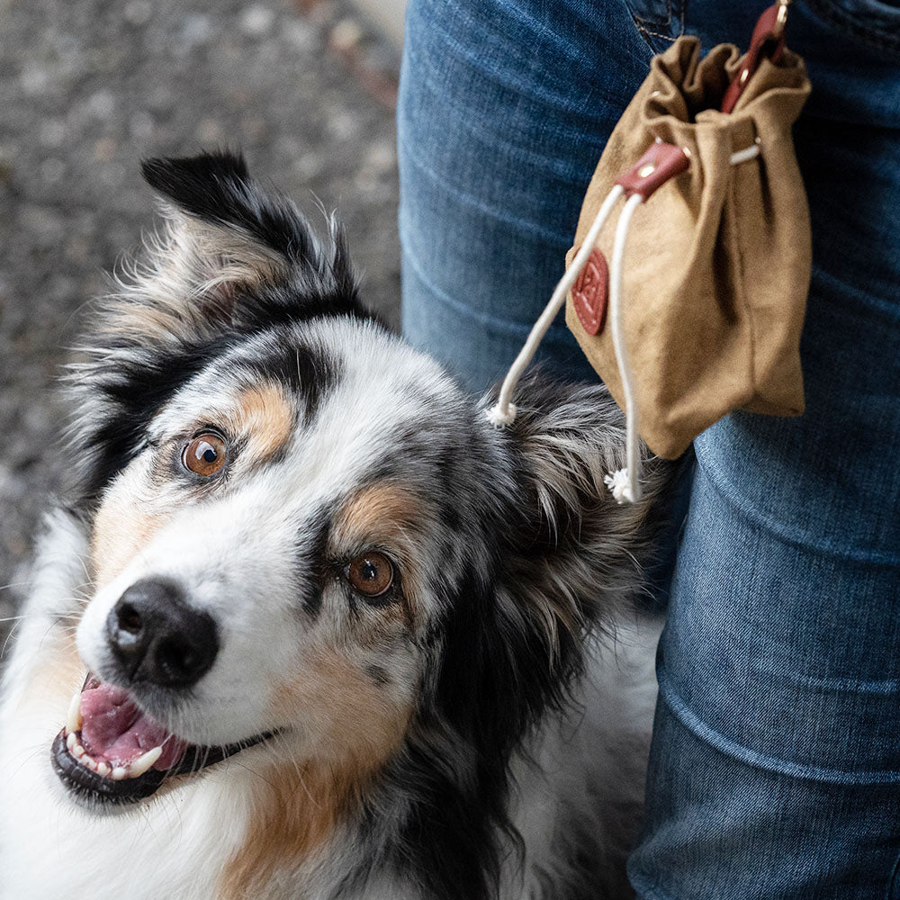 Mini Würfel Hirsch Hundeleckerlis (250g)