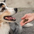 Bild in Galerie-Betrachter laden, Mini Würfel Hirsch Hundeleckerlis (250g)