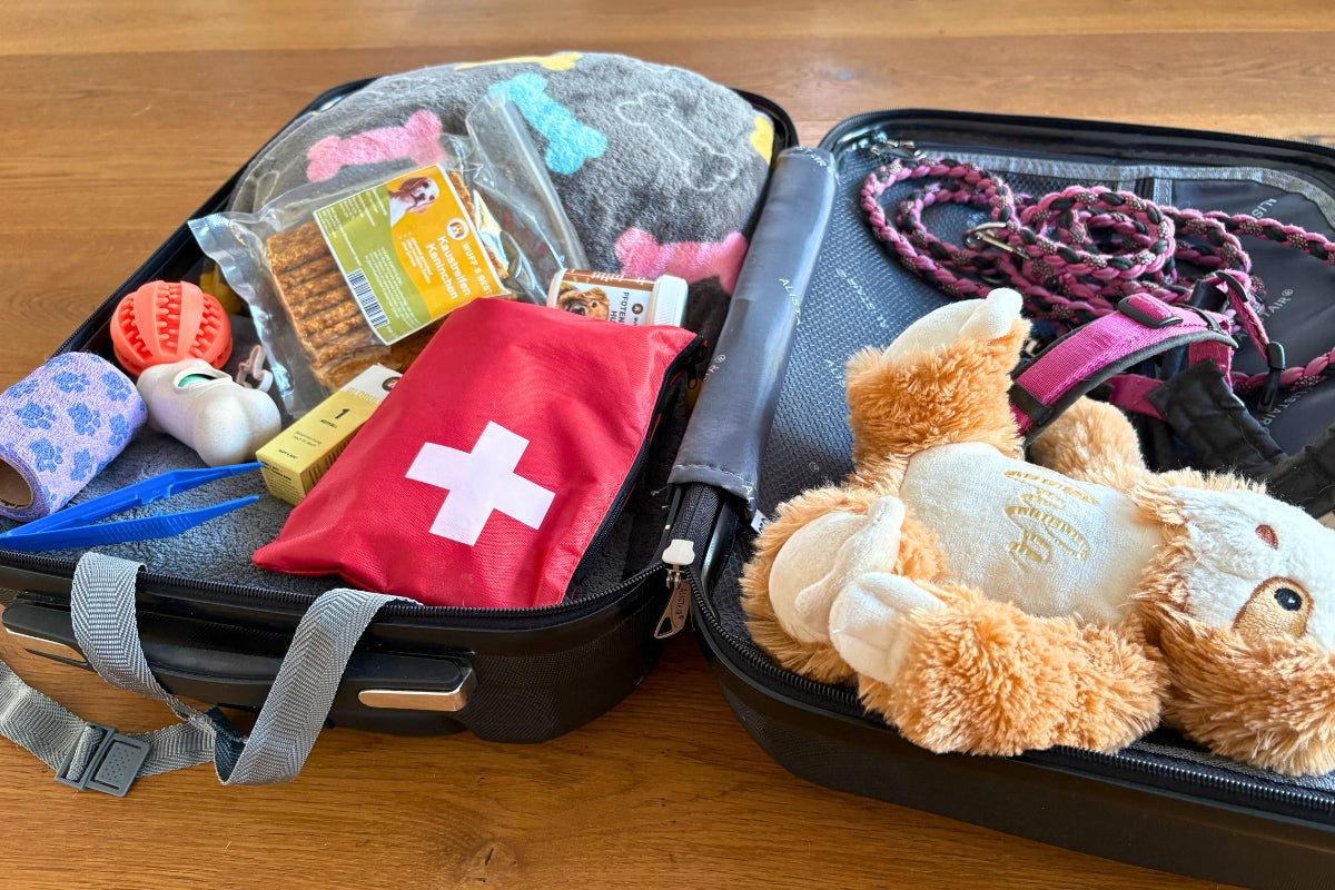 Wuff's Best Hunde-Reiseapotheke und Packliste im Koffer