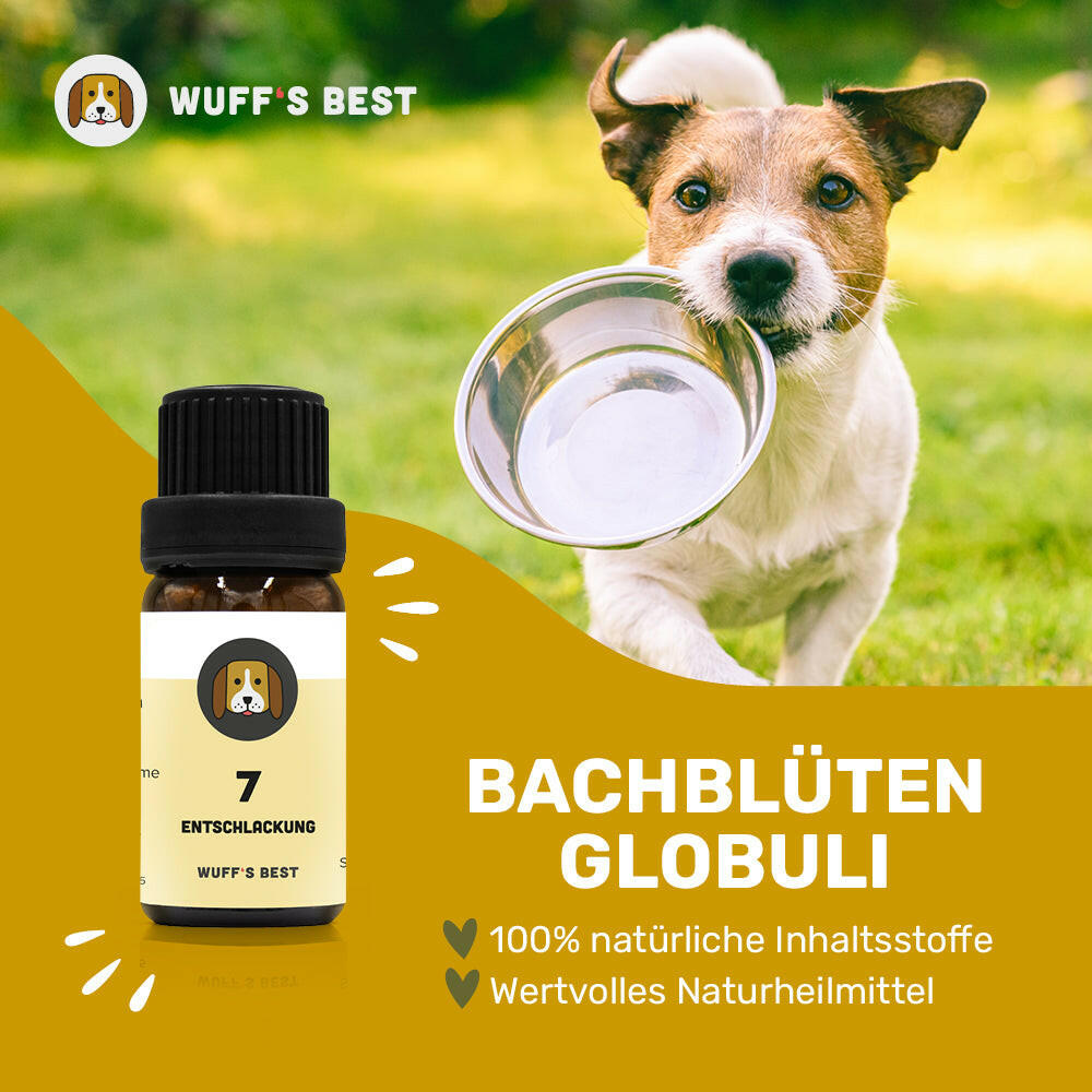 Bachblüten_Entschlackung_Globuli_Nr.7