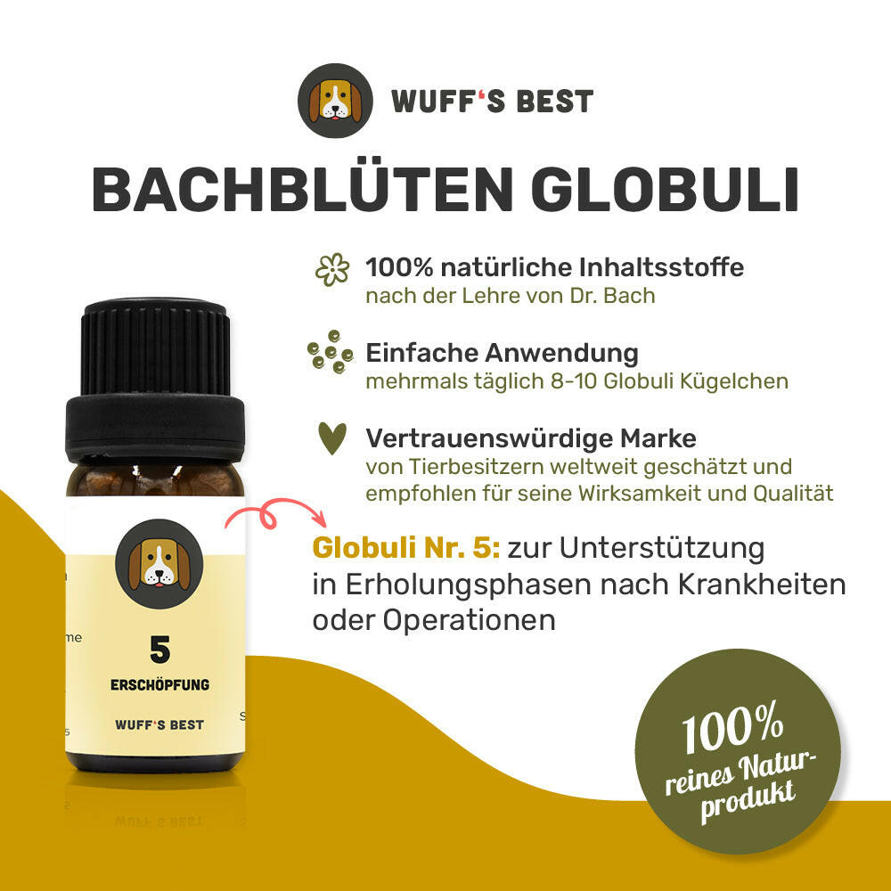 Bachblüten_Erschöpfung_Globuli_Nr.5