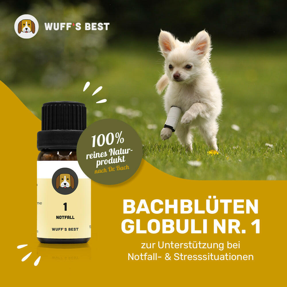 Bachblüten_Notfall_Globuli_Nr.1