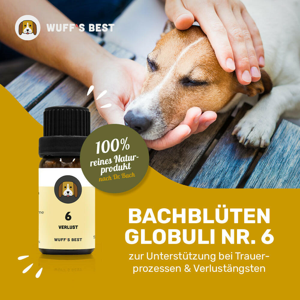 Bachblüten_Verlust_Globuli_Nr.6