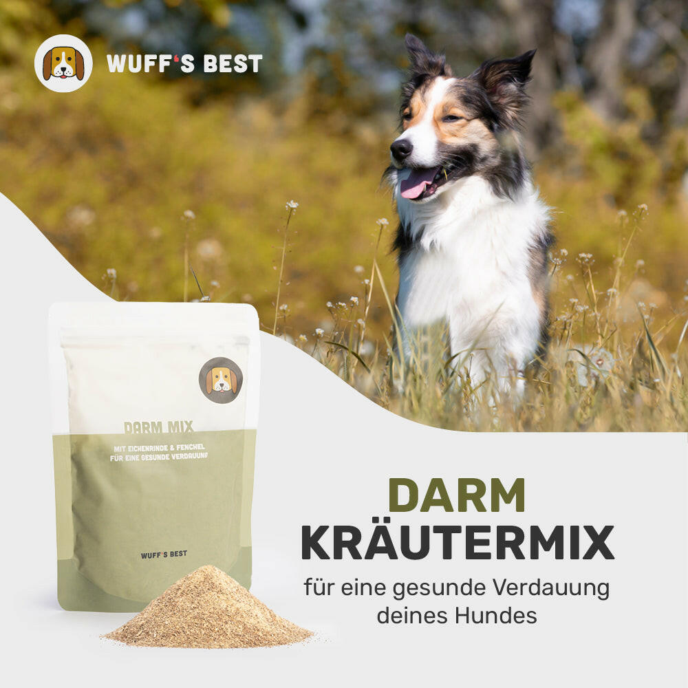 Darm_Kräutermix_Kräuter_für_Hunde