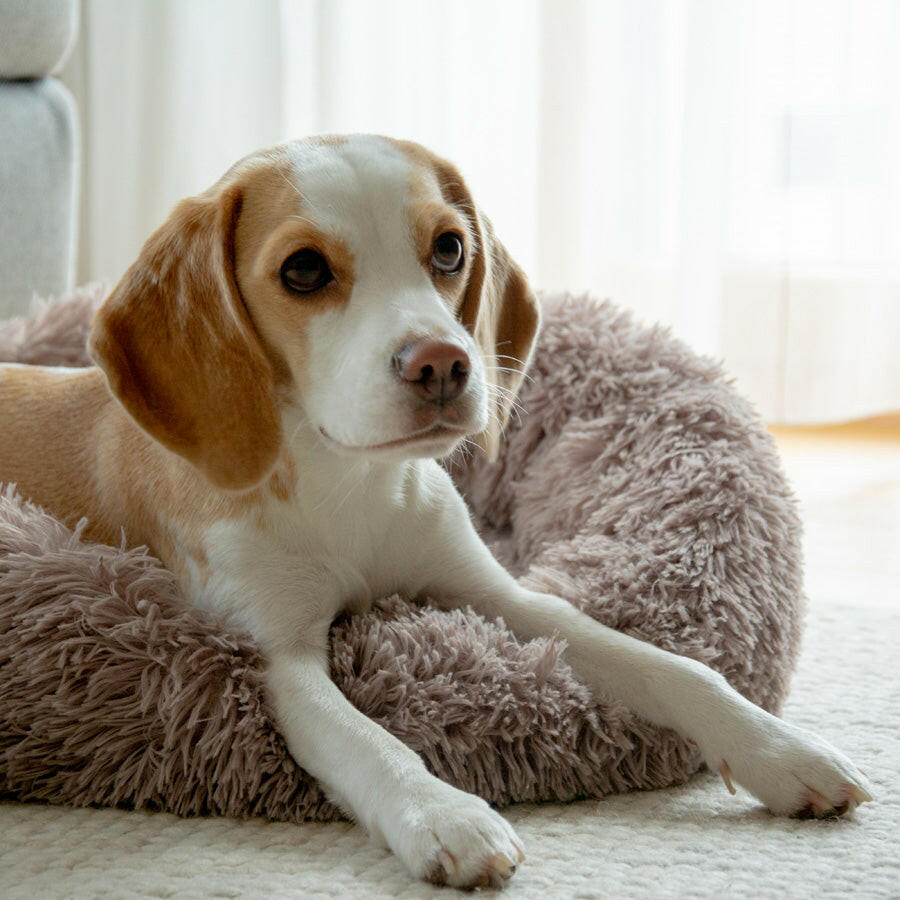 Hundebett_beige_60cm