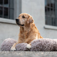 Bild in Galerie-Betrachter laden, Kuscheliges Hundebett (beige)
