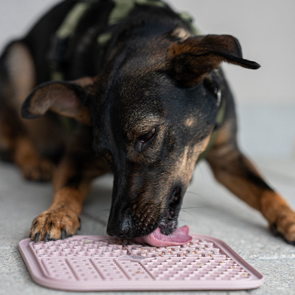 Schleckmatte für Hunde (rosa)