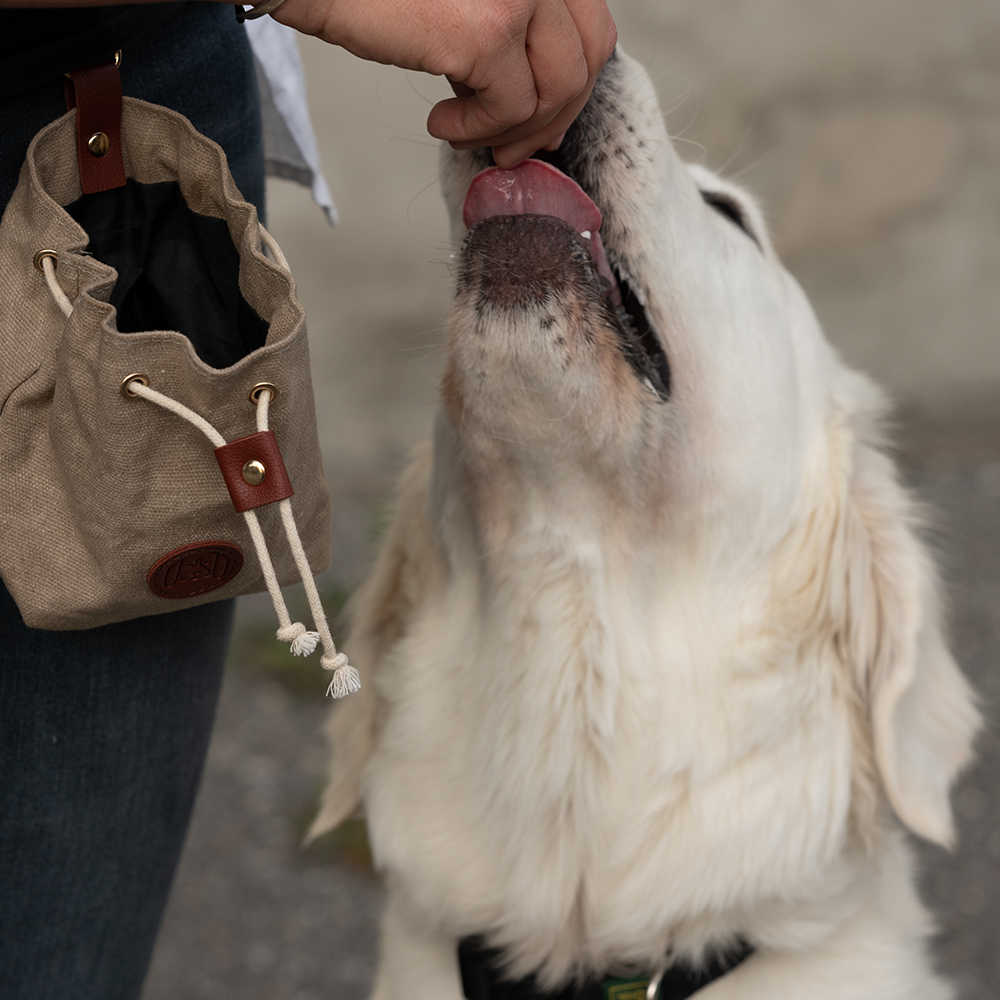 Soft Mini Würfel Reh Leckerlis für Hunde