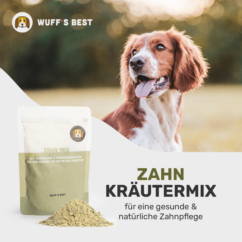 Zahn_Kräutermix_Kräuter_für_Hunde